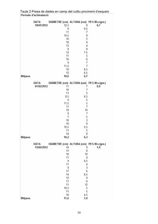 Taula 2 Presa de dades en camp del cultiu provinent d’esqueix




                                       39
 