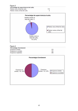 Figura 3




Figura 4




           43
 