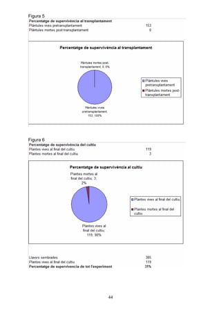 Figura 5




Figura 6




           44
 