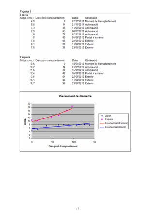 Figura 9




           47
 