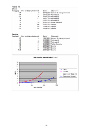Figura 10




            48
 