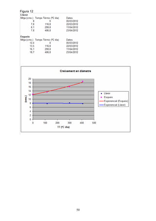 Figura 12




            50
 