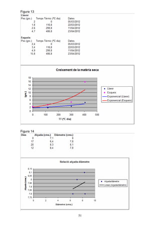 Figura 13




Figura 14




            51
 