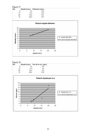 Figura 17




Figura 18




            53
 