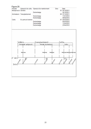 Figura 20




            55
 
