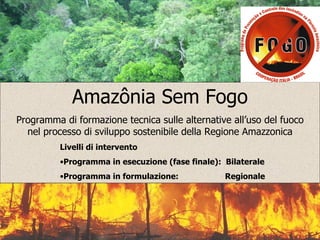 Amazônia Sem Fogo
Programma di formazione tecnica sulle alternative all’uso del fuoco
  nel processo di sviluppo sostenibile della Regione Amazzonica
          Livelli di intervento
          •Programma in esecuzione (fase finale): Bilaterale
          •Programma in formulazione:             Regionale
 
