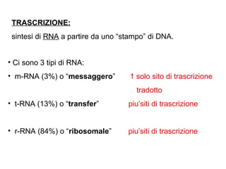 Ci sono 3 tipi di RNA: m-RNA (3%) o “ messaggero ”  1 solo sito di   trascrizione tradotto   t-RNA (13%) o “ transfer ”  piu’siti di trascrizione r-RNA (84%) o “ ribosomale ”  piu’siti di trascrizione TRASCRIZIONE:   sintesi di  RNA  a partire da uno “stampo” di DNA. 