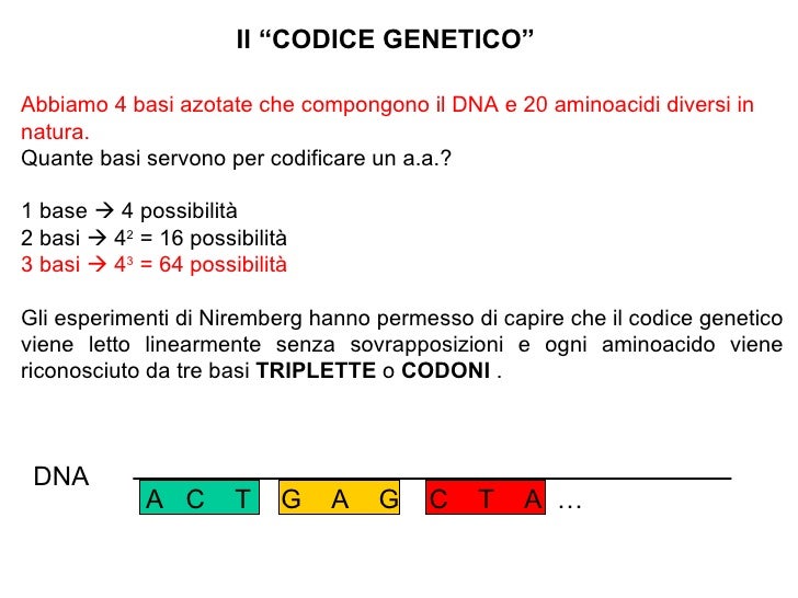 Da Quante Triplette è Costituito Il Codice Genetico