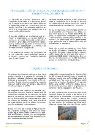 Sintesis 1 30 De Junio 2008