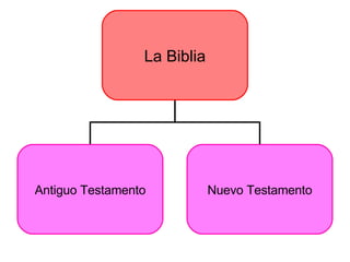 La Biblia Antiguo Testamento Nuevo Testamento 