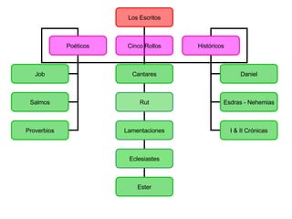Los Escritos Poéticos Cinco Rollos Históricos Job Salmos Proverbios Cantares Rut Lamentaciones Eclesiastes Ester Daniel Esdras - Nehemias I & II Crónicas 