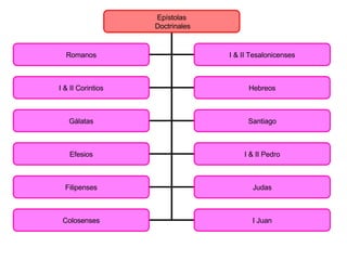 Epístolas Doctrinales Romanos I & II Tesalonicenses Gálatas I & II Corintios Hebreos Santiago Efesios I & II Pedro Filipenses Judas Colosenses I Juan 