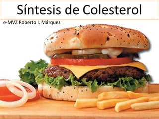 Síntesis de Colesterol
e-MVZ Roberto I. Márquez
 