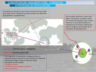 Concepción se articulara con el sitio de intervención por medio
de la plaza cívica, Y desde allí se podrá acceder a los diferentes
equipamientos arquitectónicos.
Parque
Posada
Centro de
interpretación
Centro de
investigación
Camino para cabalgatas
Camino para 4x4
De los análisis anteriores, vimos como
llegar a Concepción, el pueblo cuenta
con terminal de ómnibus, pero al sitio a
intervenir es muy difícil acceder con
transporte de tal tamaño, además que
pone en riesgo la conservación de la
naturaleza, de allí propusimos:
Para resguardar el ecosistema, se llegará al sitio, en
pequeños grupos de personas, para sostener la propuesta
pretendemos llegar al lugar a intervenir desde
Concepción de dos manera:
Cabalgatas guiadas
4x4 máximos de ocupantes 5 personas
Autos individuales
CONCEPCION DEL YAGUARETE CORA - CORRIENTES
ESTRATEGIAS DE ARTICULACION
 