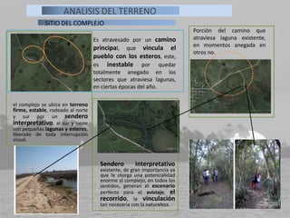 Sendero interpretativo
existente, de gran importancia ya
que le otorga una potencialidad
enorme al complejo, en todos los
sentidos, generan el escenario
perfecto para el avistaje, el
recorrido, la vinculación
tan necesaria con la naturaleza.
el complejo se ubica en terreno
firme, estable, rodeado al norte
y sur por un sendero
interpretativo, al sur y oeste
con pequeñas lagunas y esteros,
liberado de toda interrupción
visual.
Es atravesado por un camino
principal, que vincula el
pueblo con los esteros, este,
es inestable por quedar
totalmente anegado en los
sectores que atraviesa lagunas,
en ciertas épocas del año.
Porción del camino que
atraviesa laguna existente,
en momentos anegada en
otros no.
SITIO DEL COMPLEJO
ANALISIS DEL TERRENO
 