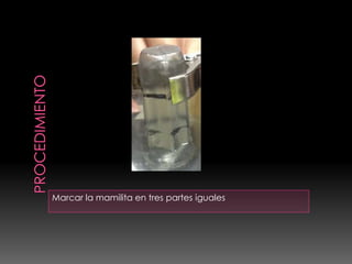 Marcar la mamilita en tres partes iguales
 