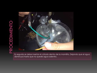 Es seguida se debe insertar el cátodo dentro de la mamilita. Dejando que el agua
disminuya hasta que no quede agua adentro.
 