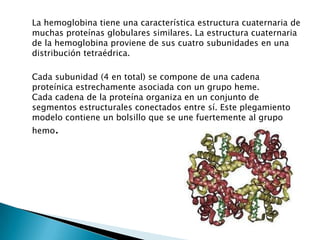 La hemoglobina tiene una característica estructura cuaternaria de
muchas proteínas globulares similares. La estructura cuaternaria
de la hemoglobina proviene de sus cuatro subunidades en una
distribución tetraédrica.
Cada subunidad (4 en total) se compone de una cadena
proteínica estrechamente asociada con un grupo heme.
Cada cadena de la proteína organiza en un conjunto de
segmentos estructurales conectados entre sí. Este plegamiento
modelo contiene un bolsillo que se une fuertemente al grupo
hemo.
 