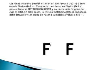 Los iones de hierro pueden estar en estado Ferroso (Fe2 +) o en el
estado Férrico (Fe3 +). Cuando se transforma en Férrico (Fe3 +)
pasa a llamarse METAHEMOGLOBINA y no puede unir oxigeno, lo
cual es letal. En tales casos, la enzima metahemoglobina reductasa
debe activarse y ser capaz de hacer a la molécula volver a Fe2 +.
2
F F
3
 