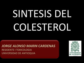 SINTESIS DEL COLESTEROL JORGE ALONSO MARIN CARDENAS RESIDENTE I TOXICOLOGIA UNIVERSIDAD DE ANTIOQUIA 