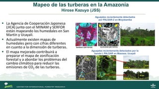 Mapeo de las turberas en la Amazonía
Hirose Kazuyo (JSS)
 La Agencia de Cooperación Japonesa
(JICA) junto con el MINAM y SERFOR
están mapeando los humedales en San
Martín y Ucayali.
 Actualmente existen mapas de
humedales pero con cifras diferentes
en cuanto a la dimensión de turberas.
 El mapa mejorado contribuirá a
preparar el mapa de zonificación
forestal y a abordar los problemas del
cambio climático para reducir las
emisiones de CO2 de las turberas.
Aguajales recientemente detectados
por PALSAR-2 en Moyobamba
Aguajales recientemente detectados por la
banda L PALSAR en Masisea, Ucayali
Foto X
Foto A
15-18m
 