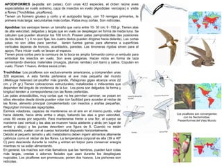 APODIFORMES (a-podis: sin patas). Con unas 422 especies, el orden reúne aves
especialistas en vuelo extremo, caza de insectos en vuelo (Apodidae: vencejos) o visita
a flores (Trochilidae: picaflores).
Tienen un húmero grueso y corto y el autopodio largo, con 10 remiges primarias, la
primera más larga; secundarias más cortas. Patas muy cortas. Son nidícolas.
Apodidae: los vencejos tienen un tamaño que varía entre 10- 30 cm; 9 -150 gr. Tienen alas
de alta velocidad, delgadas y largas que en vuelo se despliegan en forma de media luna. Se
calculan que pueden alcanzar los 100 km./h. Poseen patas pamprodáctilas (las posiciones
de los dedos 1 y 4 no son fijas, los cuatro dedos pueden dirigirse hacia delante). Las cortas
patas no son útiles para perchar, tienen fuertes garras para aferrarse a superficies
verticales ásperas de troncos, acantilados, paredes. Las timoneras rígidas sirven para el
apoyo. Para iniciar vuelo se lanzan al espacio.
Tienen picos cortos pero la comisura de la boca es amplia formando como un embudo para
embolsar los insectos en vuelo. Son aves gregarias. Hacen nidos en forma de taza
cementando diversos materiales (musgos, plumas ramitas) con barro y saliva. Copulan en
vuelo. Ponen 1 huevo. Ambos sexos crían.
Trochilidae: Los picaflores son exclusivamente americanos, y comprenden unas
328 especies. A esta familia pertenece el ave más pequeña del mundo
(Mellisuga helenae) (el picaflor más grande, Patagonas gigas alcanza unos 22
cm. y 21 gr.) Tienen coloraciones estructurales, metalizadas o iridiscentes que
dependen del ángulo de incidencia de la luz. Los picos son delgados; la forma y
longitud tienden a corresponderse con las flores preferidas.
Las patas anisodáctilas, muy cortas que no les permiten caminar; se posan en
sitios elevados desde donde pueden volar con facilidad para acceder al néctar de
las flores, alimento principal complementado con insectos y arañas pequeñas.
Regurgitan minúsculas egagrópilas.
Eximios voladores, capaces de mantenerse en el aire en el mismo punto, volar
hacia delante, hacia atrás arriba o abajo, batiendo las alas a gran velocidad,
unas 80 veces por segundo. Para mantenerse frente a una flor, el cuerpo se
mantiene casi vertical y las alas se mueven hacia adelante y atrás (en lugar de
arriba y abajo) y las puntas describen una figura de 8. Cuando no están
revoloteando, vuelan con el cuerpo horizontal dispuesto horizontalmente.
Debido al pequeño tamaño y alto metabolismo deben ingerir alimentos altamente
calóricos como el néctar de las flores. La temperatura corporal es alta (39 a 40º
C) pero desciende durante la noche y entran en torpor para conservar energía
mientras no se están alimentando.
En general, los machos son más llamativos que las hembras, pueden lucir colas
más largas, crestas o adornos faciales que usan durante los despliegues
nupciales. Los picaflores son promiscuos; ponen dos huevos. Los pichones son
nidícolas.
Los picaflores son convergentes
con los Nectariniidae,
Passeriformes del Viejo Mundo
 