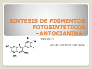 SINTESIS DE PIGMENTOS
FOTOSINTETICOS
–ANTOCIANINA-
PRESENTA:
Adrian González Rodríguez
 