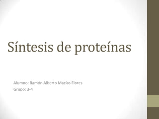 Síntesis de proteínas  Alumno: Ramón Alberto Macías Flores Grupo: 3-4 