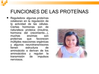 FUNCIONES DE LAS PROTEÍNAS Reguladora: algunas proteínas colaboran en la regulación de la actividad de las células. Ciertas hormonas son de naturaleza proteica (insulina, hormona del crecimiento...), muchas enzimas son proteínas que favorecen múltiples reacciones orgánicas y algunos neurotransmisores tienen estructura de aminoácido o derivan de los aminoácidos y regulan la transmisión de impulsos nerviosos.  