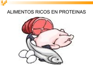 ALIMENTOS RICOS EN PROTEINAS 