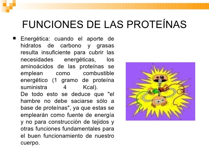 Sintesis De Proteinas