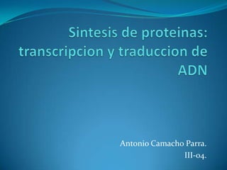 Sintesis de proteinas: transcripcion y traduccion de ADN Antonio Camacho Parra. III-04. 