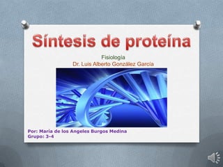 Síntesis de proteína Fisiología Dr. Luis Alberto González García Por: María de los Angeles Burgos Medina Grupo: 3-4 