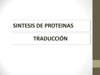 SINTESIS DE PROTEINAS

       TRADUCCIÓN
 
