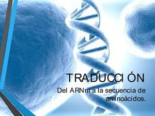 TRADUCCI ÓN
Del ARNm a la secuencia de
aminoácidos.

 