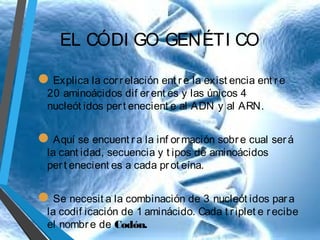 EL CÓDI GO GENÉTI CO
Explica la cor r elación ent r e la exist encia ent r e
20 aminoácidos dif er ent es y las únicos 4
nucleót idos per t enecient e al ADN y al ARN.

Aquí se encuent r a la inf or mación sobr e cual ser á
la cant idad, secuencia y t ipos de aminoácidos
per t enecient es a cada pr ot eína.

Se necesit a la combinación de 3 nucleót idos par a

la codif icación de 1 aminácido. Cada t r iplet e r ecibe
el nombr e de Codón.

 