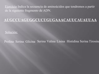 Ejercicio Indica la secuencia de aminoácidos que tendremos a partir
de la siguiente fragmento de ADN.

AUGCCUAGUGGCUCUGUGAAACAUUCAUAUUAA
Solución:

Prolina Serina Glicina Serina Valina Lisina Histidina Serina Tirosina

 