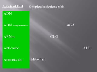 Actividad final

Completa la siguiente tabla

ADN
ADN complementario

AGA

ARNm

CUG

Anticodón
Aminoácido

AUU
Metionina

 