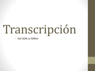 Transcripción
• Del ADN al ARNm
 