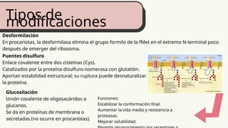 SINTESIS DE PROTEINAS BIOLOGIA MOLECULAR.pptx