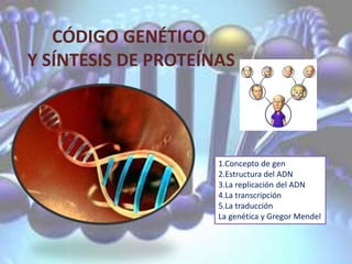 CÓDIGO GENÉTICO
Y SÍNTESIS DE PROTEÍNAS
1.Concepto de gen
2.Estructura del ADN
3.La replicación del ADN
4.La transcripción
5.La traducción
La genética y Gregor Mendel
 