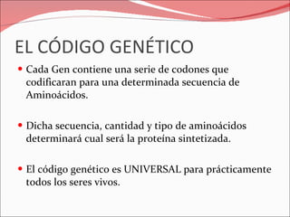 EL CÓDIGO GENÉTICO Cada Gen contiene una serie de codones que codificaran para una determinada secuencia de Aminoácidos. Dicha secuencia, cantidad y tipo de aminoácidos determinará cual será la proteína sintetizada. El código genético es UNIVERSAL para prácticamente todos los seres vivos. 