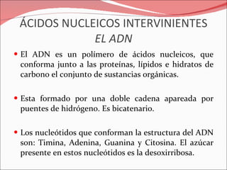 ÁCIDOS NUCLEICOS INTERVINIENTES EL ADN El ADN es un polímero de ácidos nucleicos, que conforma junto a las proteínas, lípidos e hidratos de carbono el conjunto de sustancias orgánicas. Esta formado por una doble cadena apareada por puentes de hidrógeno. Es bicatenario. Los nucleótidos que conforman la estructura del ADN son: Timina, Adenina, Guanina y Citosina. El azúcar presente en estos nucleótidos es la desoxirribosa. 