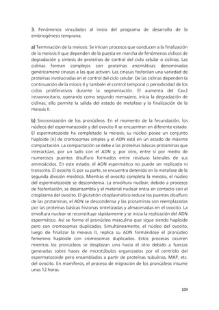 104
3. Fenómenos vinculados al inicio del programa de desarrollo de la
embriogénesis temprana.
a) Terminación de la meiosis. Se inician procesos que conducen a la finalización
de la meiosis II que dependen de la puesta en marcha de fenómenos cíclicos de
degradación y síntesis de proteínas de control del ciclo celular o ciclinas. Las
ciclinas forman complejos con proteínas enzimáticas denominadas
genéricamene cinasas a las que activan. Las cinasas fosforilan una variedad de
proteínas involucradas en el control del ciclo celular. De las ciclinas dependen la
continuación de la miosis II y también el control temporal o periodicidad de los
ciclos proliferativos durante la segmentación. El aumento del Ca+2
intraovocitario, operando como segundo mensajero, inicia la degradación de
ciclinas; ello permite la salida del estado de metafase y la finalización de la
meiosis II.
b) Sincronización de los pronúcleos. En el momento de la fecundación, los
núcleos del espermatozoide y del ovocito II se encuentran en diferente estado.
El espermatozoide ha completado la meiosis, su núcleo posee un conjunto
haploide [n] de cromosomas simples y el ADN está en un estado de máxima
compactación. La compactación se debe a las proteínas básicas protaminas que
interactúan, por un lado con el ADN y, por otro, entre sí por medio de
numerosos puentes disulfuro formados entre residuos laterales de sus
aminoácidos. En este estado, el ADN espermático no puede ser replicado ni
transcrito. El ovocito II, por su parte, se encuentra detenido en la metafase de la
segunda división meiótica. Mientras el ovocito completa la meiosis, el núcleo
del espermatozoide se descondensa. La envoltura nuclear, debido a procesos
de fosforilación, se desensambla y el material nuclear entra en contacto con el
citoplasma del ovocito. El glutatión citoplasmático reduce los puentes disulfuro
de las protaminas, el ADN se descondensa y las protaminas son reemplazadas
por las proteínas básicas histonas sintetizadas y almacenadas en el ovocito. La
envoltura nuclear se reconstituye rápidamente y se inicia la replicación del ADN
espermático. Así se forma el pronúcleo masculino que sigue siendo haploide
pero con cromosomas duplicados. Simultáneamente, el núcleo del ovocito,
luego de finalizar la meiosis II, replica su ADN formándose el pronúcleo
femenino haploide con cromosomas duplicados. Estos procesos ocurren
mientras los pronúcleos se desplazan uno hacia el otro debido a fuerzas
generadas sobre haces de microtúbulos organizados por el centríolo del
espermatozoide pero ensamblados a partir de proteínas tubulinas, MAP, etc.
del ovocito. En mamíferos, el proceso de migración de los pronúcleos insume
unas 12 horas.
 