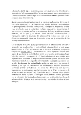 153
extracelular. La Fif c-s de atracción puede ser biológicamente definida como
resultado de “afinidades específicas” entre grupos moleculares pertenecientes
a ambas superficies. Sin embargo, no se considera que la Fif c-s genere la fuerza
necesaria para el movimiento.
Numerosos estudios de la dinámica de la membrana plasmática del frente de
avance de células migratorias muestran una intensa actividad con producción
de prolongaciones celulares (lamelipodios, seudopodios, filipodios), a veces
muy ramificadas, que se extienden, realizan movimientos exploratorios de
barrido sobre el sustrato, se fijan a ciertos puntos de éste y se adhieren o, por el
contrario, no se fijan y se retraen. Varios estudios ultraestructurales y
moleculares sobre la dinámica del citoesqueleto indican que éste es el
elemento responsable tanto de la emisión como de la retracción de las
prolongaciones celulares.
Con el objeto de ilustrar qué papel corresponde al citoesqueleto (emisión y
retracción de seudopodios y contractilidad citoplasmática) y qué papel
corresponde a la Fif c-s (adhesividad por el sustrato), analicemos un ejemplo
simplificado (Fig. SC 2-12-1). Consideremos una célula migratoria ubicada en la
región 2 que tiene la posibilidad de emitir seudopodios distribuidos al azar
sobre las regiones circundantes 1 y 3. Desde el punto de vista teórico, esto
implica que los valores de los ángulos (respecto del eje x) de las rectas que unen
el centro de la célula con los puntos extremos de los seudopodios poseerán una
función de densidad de probabilidades uniforme. Vale decir, los puntos de
emisión y los ejes de crecimiento de seudopodios tendrán distribución
isotrópica (similar probabilidad en todas las direcciones del espacio).
Supongamos a continuación que la intensidad de la Fif c-s es mayor en la
región 3 que en las regiones 1 y 2. Cuando los seudopodios que hayan tomado
contactos en dichas regiones se retraigan, aun cuando las fuerzas generadas
por la retracción de los seudopodios posean una distribución isométrica, la
célula tenderá a despegarse de las regiones 1 y 2 y tenderá a desplazarse hacia
la región 3.
 