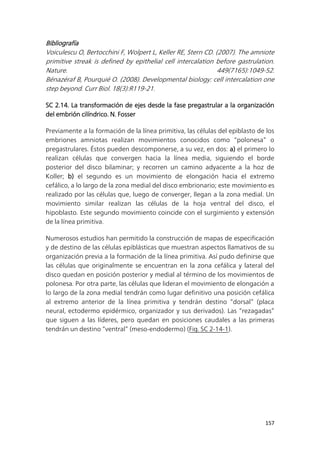157
Bibliografía
Voiculescu O, Bertocchini F, Wolpert L, Keller RE, Stern CD. (2007). The amniote
primitive streak is defined by epithelial cell intercalation before gastrulation.
Nature. 449(7165):1049-52.
Bénazéraf B, Pourquié O. (2008). Developmental biology: cell intercalation one
step beyond. Curr Biol. 18(3):R119-21.
SC 2.14. La transformación de ejes desde la fase pregastrular a la organización
del embrión cilíndrico. N. Fosser
Previamente a la formación de la línea primitiva, las células del epiblasto de los
embriones amniotas realizan movimientos conocidos como “polonesa” o
pregastrulares. Éstos pueden descomponerse, a su vez, en dos: a) el primero lo
realizan células que convergen hacia la línea media, siguiendo el borde
posterior del disco bilaminar; y recorren un camino adyacente a la hoz de
Koller; b) el segundo es un movimiento de elongación hacia el extremo
cefálico, a lo largo de la zona medial del disco embrionario; este movimiento es
realizado por las células que, luego de converger, llegan a la zona medial. Un
movimiento similar realizan las células de la hoja ventral del disco, el
hipoblasto. Este segundo movimiento coincide con el surgimiento y extensión
de la línea primitiva.
Numerosos estudios han permitido la construcción de mapas de especificación
y de destino de las células epiblásticas que muestran aspectos llamativos de su
organización previa a la formación de la línea primitiva. Así pudo definirse que
las células que originalmente se encuentran en la zona cefálica y lateral del
disco quedan en posición posterior y medial al término de los movimientos de
polonesa. Por otra parte, las células que lideran el movimiento de elongación a
lo largo de la zona medial tendrán como lugar definitivo una posición cefálica
al extremo anterior de la línea primitiva y tendrán destino “dorsal” (placa
neural, ectodermo epidérmico, organizador y sus derivados). Las “rezagadas”
que siguen a las líderes, pero quedan en posiciones caudales a las primeras
tendrán un destino “ventral” (meso-endodermo) (Fig. SC 2-14-1).
 