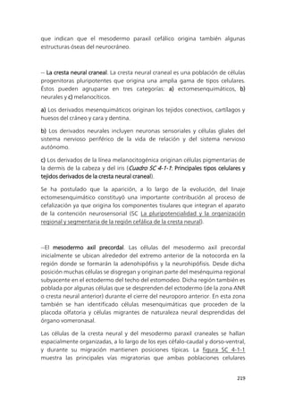 219
que indican que el mesodermo paraxil cefálico origina también algunas
estructuras óseas del neurocráneo.
-- La cresta neural craneal. La cresta neural craneal es una población de células
progenitoras pluripotentes que origina una amplia gama de tipos celulares.
Éstos pueden agruparse en tres categorías: a) ectomesenquimáticos, b)
neurales y c) melanocíticos.
a) Los derivados mesenquimáticos originan los tejidos conectivos, cartílagos y
huesos del cráneo y cara y dentina.
b) Los derivados neurales incluyen neuronas sensoriales y células gliales del
sistema nervioso periférico de la vida de relación y del sistema nervioso
autónomo.
c) Los derivados de la línea melanocitogénica originan células pigmentarias de
la dermis de la cabeza y del iris (Cuadro SC 4-1-1: Principales tipos celulares y
tejidos derivados de la cresta neural craneal).
Se ha postulado que la aparición, a lo largo de la evolución, del linaje
ectomesenquimático constituyó una importante contribución al proceso de
cefalización ya que origina los componentes tisulares que integran el aparato
de la contención neurosensorial (SC La pluripotencialidad y la organización
regional y segmentaria de la región cefálica de la cresta neural).
--El mesodermo axil precordal. Las células del mesodermo axil precordal
inicialmente se ubican alrededor del extremo anterior de la notocorda en la
región donde se formarán la adenohipófisis y la neurohipófisis. Desde dicha
posición muchas células se disgregan y originan parte del mesénquima regional
subyacente en el ectodermo del techo del estomodeo. Dicha región también es
poblada por algunas células que se desprenden del ectodermo (de la zona ANR
o cresta neural anterior) durante el cierre del neuroporo anterior. En esta zona
también se han identificado células mesenquimáticas que proceden de la
placoda olfatoria y células migrantes de naturaleza neural desprendidas del
órgano vomeronasal.
Las células de la cresta neural y del mesodermo paraxil craneales se hallan
espacialmente organizadas, a lo largo de los ejes céfalo-caudal y dorso-ventral,
y durante su migración mantienen posiciones típicas. La figura SC 4-1-1
muestra las principales vías migratorias que ambas poblaciones celulares
 