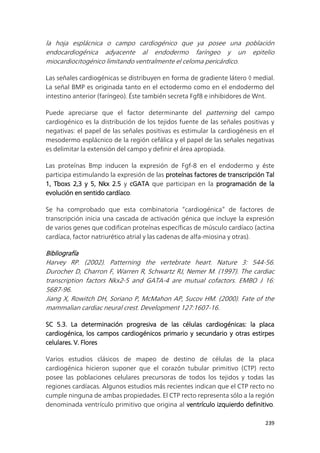 239
la hoja esplácnica o campo cardiogénico que ya posee una población
endocardiogénica adyacente al endodermo faríngeo y un epitelio
miocardiocitogénico limitando ventralmente el celoma pericárdico.
Las señales cardiogénicas se distribuyen en forma de gradiente látero  medial.
La señal BMP es originada tanto en el ectodermo como en el endodermo del
intestino anterior (faríngeo). Éste también secreta Fgf8 e inhibidores de Wnt.
Puede apreciarse que el factor determinante del patterning del campo
cardiogénico es la distribución de los tejidos fuente de las señales positivas y
negativas: el papel de las señales positivas es estimular la cardiogénesis en el
mesodermo esplácnico de la región cefálica y el papel de las señales negativas
es delimitar la extensión del campo y definir el área apropiada.
Las proteínas Bmp inducen la expresión de Fgf-8 en el endodermo y éste
participa estimulando la expresión de las proteínas factores de transcripción Tal
1, Tboxs 2,3 y 5, Nkx 2.5 y cGATA que participan en la programación de la
evolución en sentido cardíaco.
Se ha comprobado que esta combinatoria “cardiogénica” de factores de
transcripción inicia una cascada de activación génica que incluye la expresión
de varios genes que codifican proteínas específicas de músculo cardíaco (actina
cardíaca, factor natriurético atrial y las cadenas de alfa-miosina y otras).
Bibliografía
Harvey RP. (2002). Patterning the vertebrate heart. Nature 3: 544-56.
Durocher D, Charron F, Warren R, Schwartz RJ, Nemer M. (1997). The cardiac
transcription factors Nkx2-5 and GATA-4 are mutual cofactors. EMBO J 16:
5687-96.
Jiang X, Rowitch DH, Soriano P, McMahon AP, Sucov HM. (2000). Fate of the
mammalian cardiac neural crest. Development 127:1607-16.
SC 5.3. La determinación progresiva de las células cardiogénicas: la placa
cardiogénica, los campos cardiogénicos primario y secundario y otras estirpes
celulares. V. Flores
Varios estudios clásicos de mapeo de destino de células de la placa
cardiogénica hicieron suponer que el corazón tubular primitivo (CTP) recto
posee las poblaciones celulares precursoras de todos los tejidos y todas las
regiones cardíacas. Algunos estudios más recientes indican que el CTP recto no
cumple ninguna de ambas propiedades. El CTP recto representa sólo a la región
denominada ventrículo primitivo que origina al ventrículo izquierdo definitivo.
 