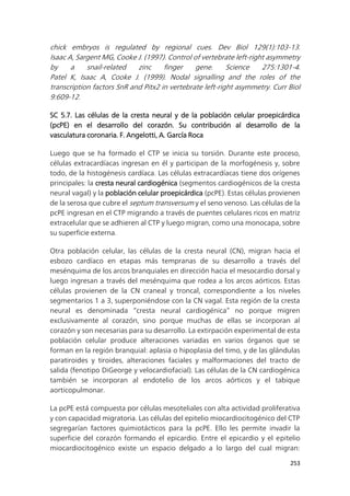 253
chick embryos is regulated by regional cues. Dev Biol 129(1):103-13.
Isaac A, Sargent MG, Cooke J. (1997). Control of vertebrate left-right asymmetry
by a snail-related zinc finger gene. Science 275:1301-4.
Patel K, Isaac A, Cooke J. (1999). Nodal signalling and the roles of the
transcription factors SnR and Pitx2 in vertebrate left-right asymmetry. Curr Biol
9:609-12.
SC 5.7. Las células de la cresta neural y de la población celular proepicárdica
(pcPE) en el desarrollo del corazón. Su contribución al desarrollo de la
vasculatura coronaria. F. Angelotti, A. García Roca
Luego que se ha formado el CTP se inicia su torsión. Durante este proceso,
células extracardíacas ingresan en él y participan de la morfogénesis y, sobre
todo, de la histogénesis cardíaca. Las células extracardíacas tiene dos orígenes
principales: la cresta neural cardiogénica (segmentos cardiogénicos de la cresta
neural vagal) y la población celular proepicárdica (pcPE). Estas células provienen
de la serosa que cubre el septum transversum y el seno venoso. Las células de la
pcPE ingresan en el CTP migrando a través de puentes celulares ricos en matriz
extracelular que se adhieren al CTP y luego migran, como una monocapa, sobre
su superficie externa.
Otra población celular, las células de la cresta neural (CN), migran hacia el
esbozo cardíaco en etapas más tempranas de su desarrollo a través del
mesénquima de los arcos branquiales en dirección hacia el mesocardio dorsal y
luego ingresan a través del mesénquima que rodea a los arcos aórticos. Estas
células provienen de la CN craneal y troncal, correspondiente a los niveles
segmentarios 1 a 3, superponiéndose con la CN vagal. Esta región de la cresta
neural es denominada “cresta neural cardiogénica” no porque migren
exclusivamente al corazón, sino porque muchas de ellas se incorporan al
corazón y son necesarias para su desarrollo. La extirpación experimental de esta
población celular produce alteraciones variadas en varios órganos que se
forman en la región branquial: aplasia o hipoplasia del timo, y de las glándulas
paratiroides y tiroides, alteraciones faciales y malformaciones del tracto de
salida (fenotipo DiGeorge y velocardiofacial). Las células de la CN cardiogénica
también se incorporan al endotelio de los arcos aórticos y el tabique
aorticopulmonar.
La pcPE está compuesta por células mesoteliales con alta actividad proliferativa
y con capacidad migratoria. Las células del epitelio miocardiocitogénico del CTP
segregarían factores quimiotácticos para la pcPE. Ello les permite invadir la
superficie del corazón formando el epicardio. Entre el epicardio y el epitelio
miocardiocitogénico existe un espacio delgado a lo largo del cual migran:
 