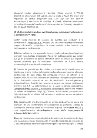 255
abnormal cardiac development. Scientific World Journal 7:1777-98.
Vincent SD, Buckingham ME. (2010). How to make a heart: the origin and
regulation of cardiac progenitor cells. Curr Top Dev Biol 90:1-41.
Bhattacharya S, Macdonald ST, Farthing CR. (2006). Molecular mechanisms
controlling the coupled development of myocardium and coronary vasculature.
Clin Sci (Lond) 111(1):35-46.
SC 5.8. Un modelo integrado de eventos celulares y moleculares involucrados en
la cardiogénesis. V. Flores
Existen varios modelos de cascadas de eventos que conducen a la
cardiogénesis. La figura SC 5-8-1 muestra una cascada de eventos en la que se
integra información, proveniente de varios modelos, sobre factores que
participan en la cardiogénesis.
1) Existen indicios de que algunos fenómenos involucrados en la cardiogénesis
se inician ya en la etapa pregastrular. Así, se han publicado datos que indican
que ya en el epiblasto es posible identificar clones de células que expresan
algunas proteínas que se consideran marcadores de futuras células
endocardiogénicas y miocardiocitogénicas.
2) Durante la gastrulación, las células precursoras arriba mencionadas se
desplazan a la zona cefálica del mesodermo lateral que corresponde a la placa
cardiogénica. En esta etapa, los principales eventos se refieren a la
especificación, localización y modelación del campo cardiogénico que depende
de la distribución espacial de vías de señalización procardiogénicas y
anticardiogénicas. Durante este proceso se genera un campo cardiogénico
primitivo (SC 5.2. La determinación de la placa o campo cardiogénico.
Comportamientos celulares y moleculares involucrados). Según este modelo,
las señales cardiogénicas (Bmp, Fgf, Cerberus, Nodal y otras) participan en la
determinación de las células del mesodermo esplácnico en un mesodermo
cardiogénico.
3) La especificación y/o determinación en sentido cardiogénico se asocia a la
expresión de una combinatoria miocardiogénica de proteínas factores de
transcripción entre los cuales están incluidos algunos como Gata4, Nkx2.5, y
otros específicamente miocardiogénicos como Mef2c (myocyte-specific
enhancer factor 2c), etcétera.
4) A esta combinatoria miocardiogénica de factores de transcripción le sigue
una cascada genética de diferenciación en sentido miocárdico. La activación de
la cascada genética de diferenciación cardiogénica se manifiesta por la síntesis
 